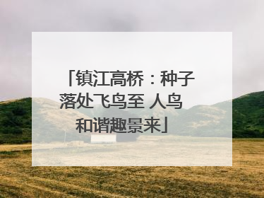 镇江高桥：种子落处飞鸟至 人鸟和谐趣景来