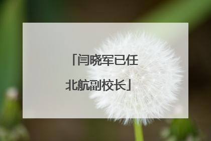 闫晓军已任北航副校长