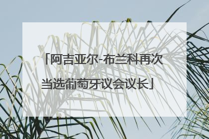 阿吉亚尔-布兰科再次当选葡萄牙议会议长