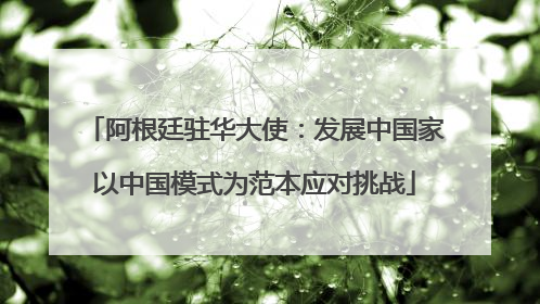阿根廷驻华大使：发展中国家以中国模式为范本应对挑战