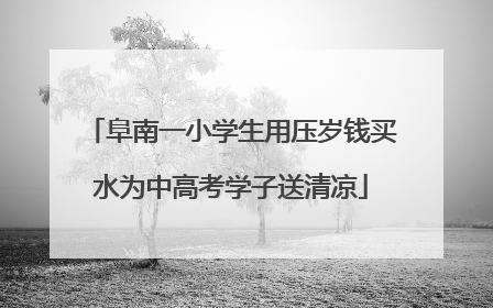 阜南一小学生用压岁钱买水为中高考学子送清凉