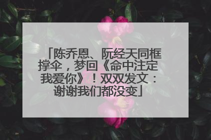 陈乔恩、阮经天同框撑伞，梦回《命中注定我爱你》！双双发文：谢谢我们都没变
