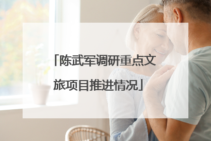 陈武军调研重点文旅项目推进情况