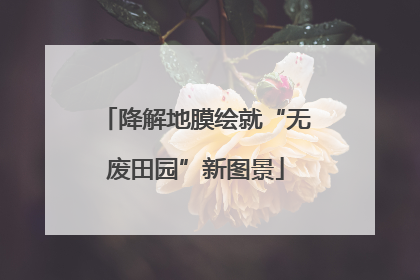 降解地膜绘就“无废田园”新图景