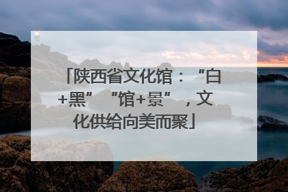 陕西省文化馆：“白+黑”“馆+景”，文化供给向美而聚