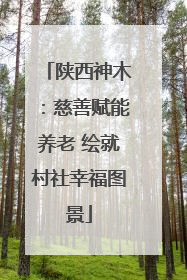 陕西神木：慈善赋能养老 绘就村社幸福图景