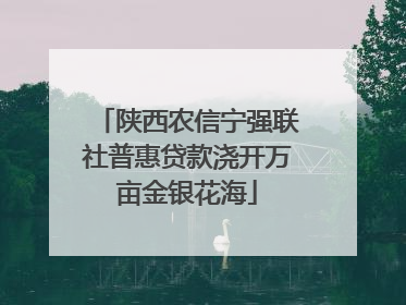 陕西农信宁强联社普惠贷款浇开万亩金银花海