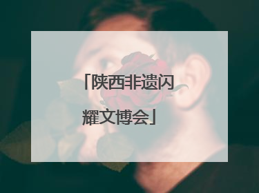 陕西非遗闪耀文博会