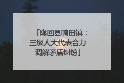 隆回县鸭田镇：三级人大代表合力调解矛盾纠纷