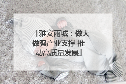 雅安雨城：做大做强产业支撑 推动高质量发展