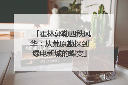 霍林郭勒四秩风华：从荒原勘探到绿电新城的蝶变