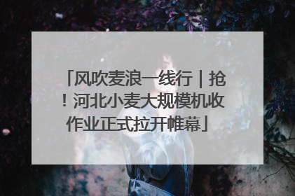 风吹麦浪一线行｜抢！河北小麦大规模机收作业正式拉开帷幕