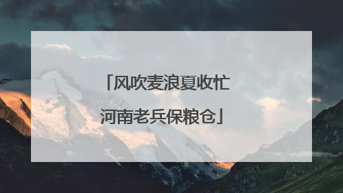 风吹麦浪夏收忙 河南老兵保粮仓