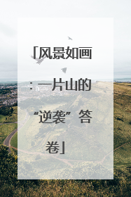 风景如画：一片山的“逆袭”答卷