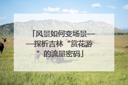 风景如何变场景——探析吉林“赏花游”的流量密码