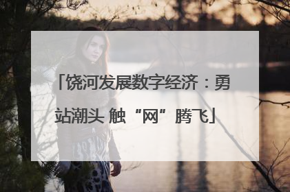 饶河发展数字经济：勇站潮头 触“网”腾飞