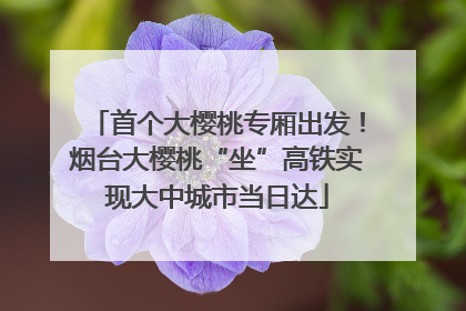 首个大樱桃专厢出发！烟台大樱桃“坐”高铁实现大中城市当日达