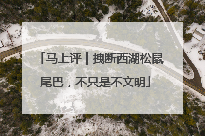 马上评｜拽断西湖松鼠尾巴，不只是不文明