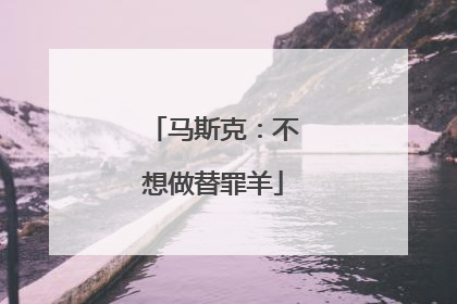 马斯克：不想做替罪羊