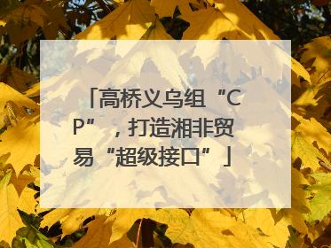 高桥义乌组“CP”，打造湘非贸易“超级接口”