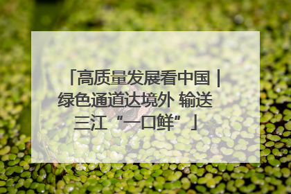 高质量发展看中国｜绿色通道达境外 输送三江“一口鲜”