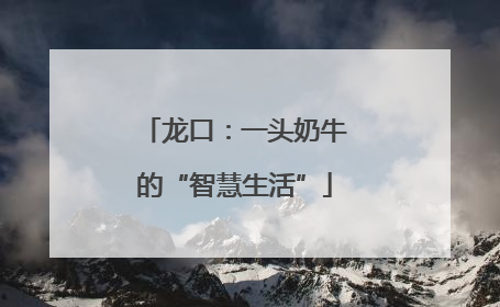 龙口：一头奶牛的“智慧生活”