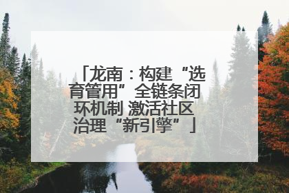 龙南：构建“选育管用”全链条闭环机制 激活社区治理“新引擎”