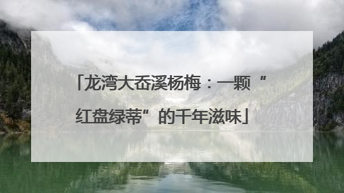 龙湾大岙溪杨梅：一颗“红盘绿蒂”的千年滋味