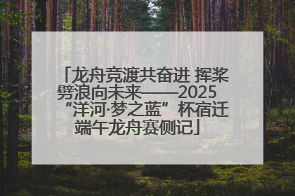 龙舟竞渡共奋进 挥桨劈浪向未来——2025“洋河·梦之蓝”杯宿迁端午龙舟赛侧记