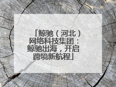 鲸驰（河北）网络科技集团：鲸驰出海，开启跨境新航程
