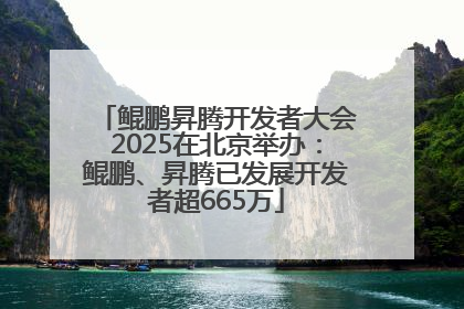 鲲鹏昇腾开发者大会2025在北京举办：鲲鹏、昇腾已发展开发者超665万