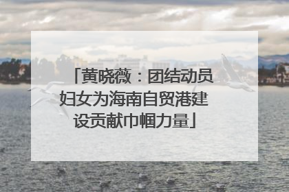 黄晓薇：团结动员妇女为海南自贸港建设贡献巾帼力量
