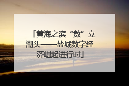 黄海之滨“数”立潮头——盐城数字经济崛起进行时
