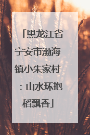 黑龙江省宁安市渤海镇小朱家村：山水环抱稻飘香