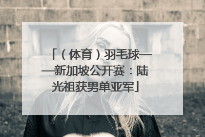 （体育）羽毛球——新加坡公开赛：陆光祖获男单亚军