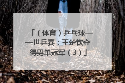 （体育）乒乓球——世乒赛：王楚钦夺得男单冠军（3）
