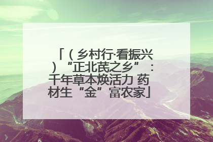 （乡村行·看振兴）“正北芪之乡”：千年草本焕活力 药材生“金”富农家