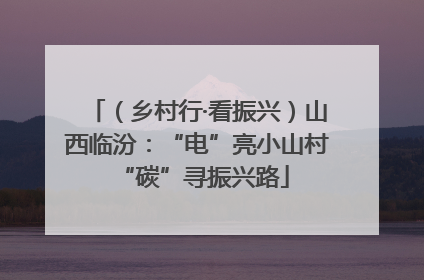 （乡村行·看振兴）山西临汾：“电”亮小山村 “碳”寻振兴路