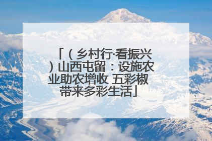 （乡村行·看振兴）山西屯留：设施农业助农增收 五彩椒带来多彩生活