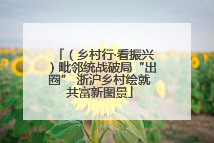 （乡村行·看振兴）毗邻统战破局“出圈” 浙沪乡村绘就共富新图景
