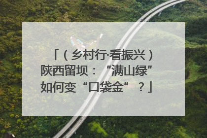 （乡村行·看振兴）陕西留坝：“满山绿”如何变“口袋金”？