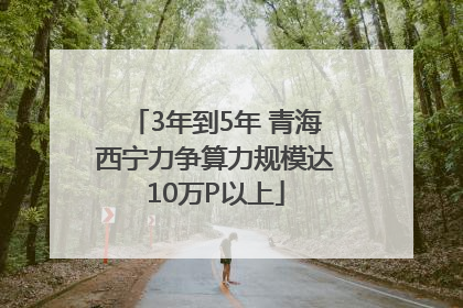 3年到5年 青海西宁力争算力规模达10万P以上