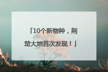 10个新物种，荆楚大地首次发现！