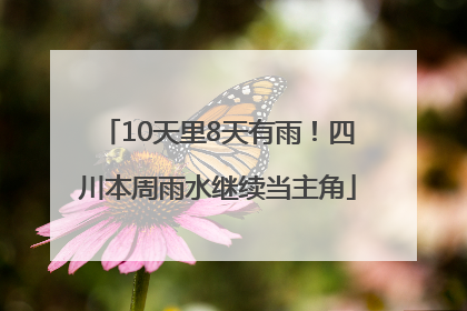10天里8天有雨！四川本周雨水继续当主角