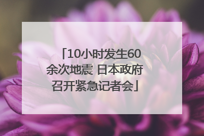 10小时发生60余次地震 日本政府召开紧急记者会