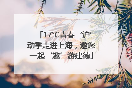17℃青春‘沪’动季走进上海，邀您一起‘趣’游建德