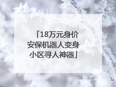 18万元身价安保机器人变身小区寻人神器
