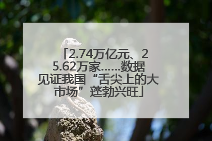 2.74万亿元、25.62万家……数据见证我国“舌尖上的大市场”蓬勃兴旺