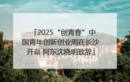 2025“创青春”中国青年创新创业周在长沙开幕 阿东沈晓明致辞