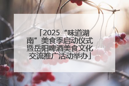 2025“味道湖南”美食季启动仪式暨岳阳啤酒美食文化交流推广活动举办